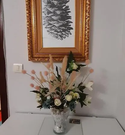 Apartamento Costa Vasca Arenas *