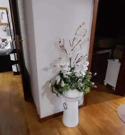 Costa Vasca Arenas Bilbao Apartment